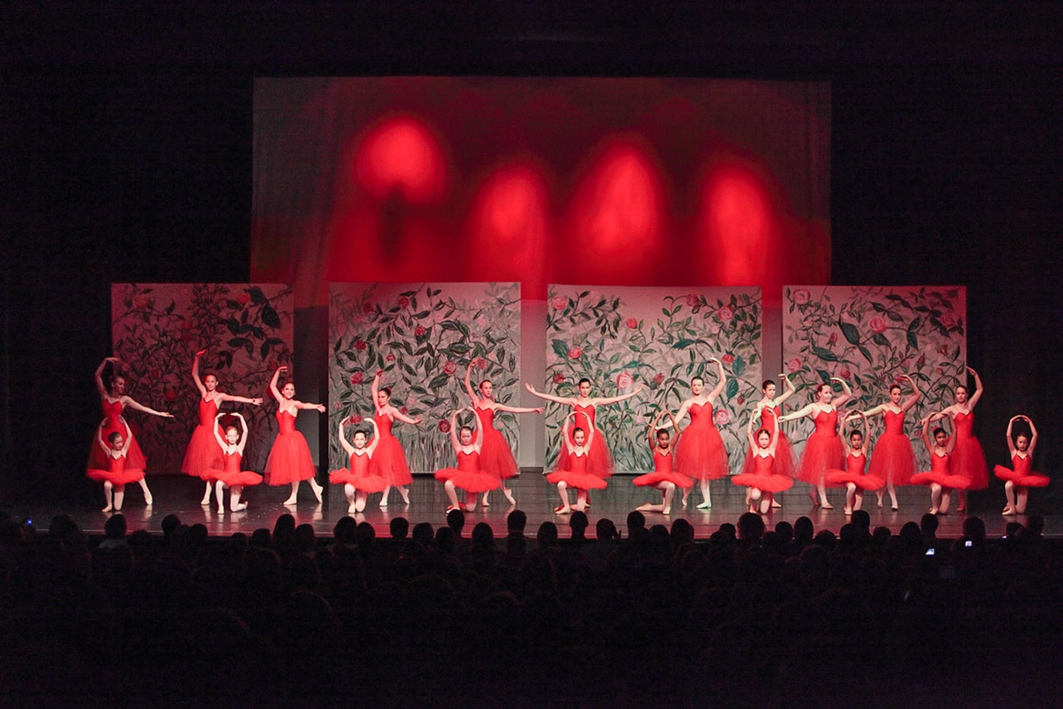 The Park - Ballettschule Neckarau - Mädchen tanzt
