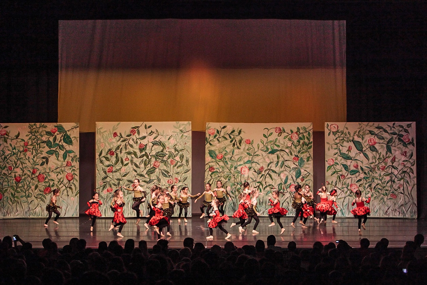 The Park - Ballettschule Neckarau - Mädchen tanzt