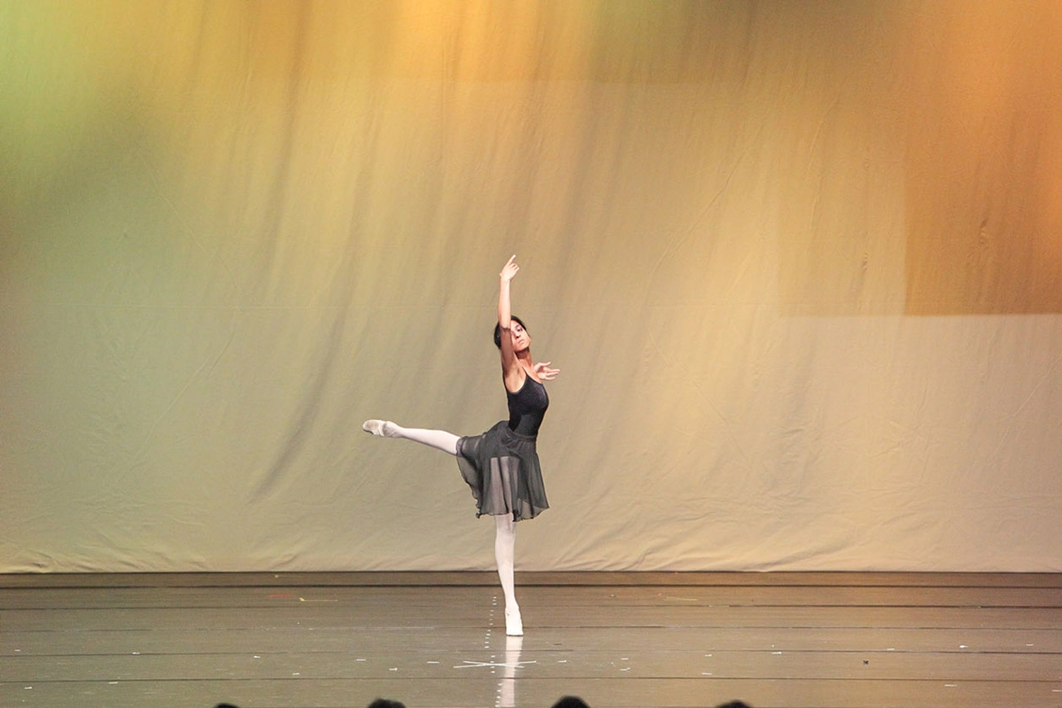 The Park - Ballettschule Neckarau - Mädchen tanzt